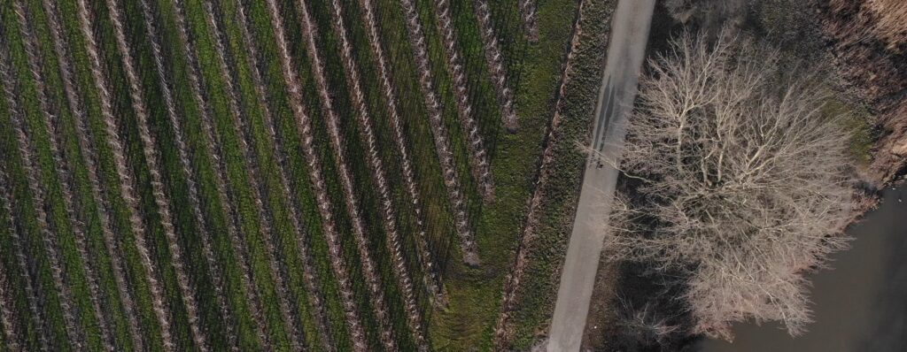 Drone-opname van natuurgebied met 4K-video voor promotionele doeleinden