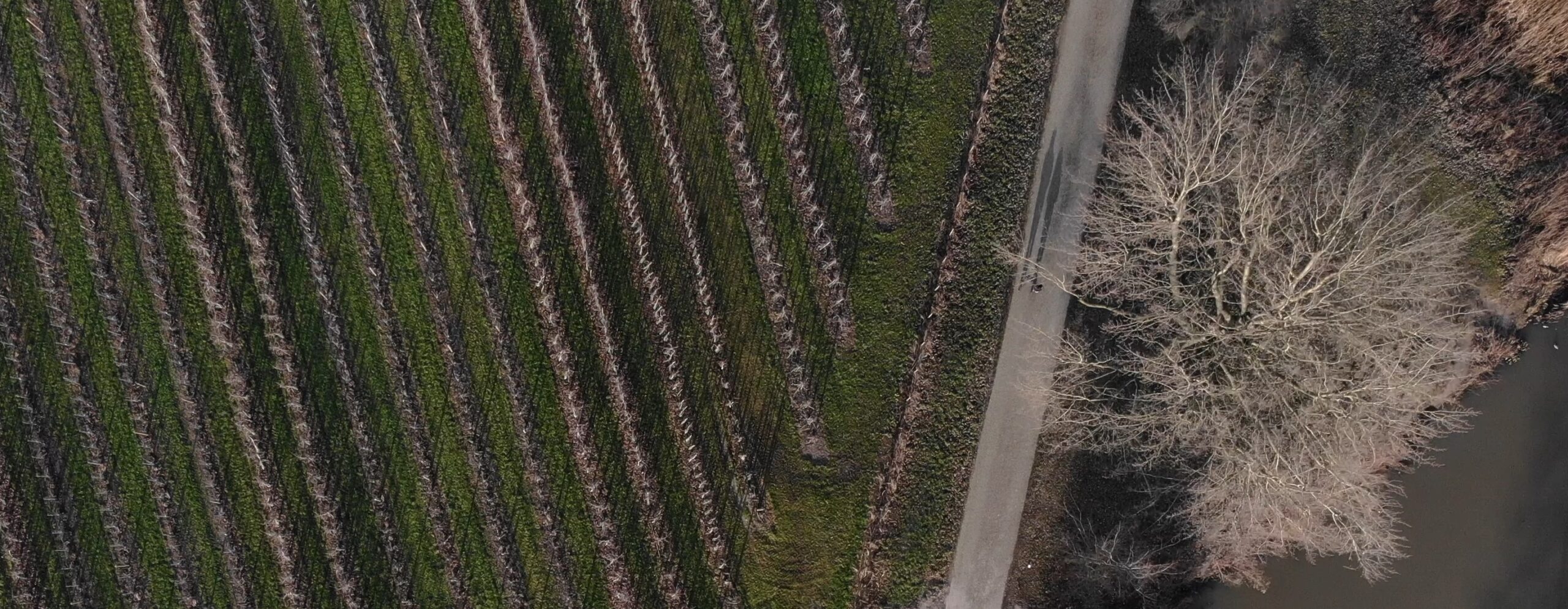 Drone-opname van natuurgebied met 4K-video voor promotionele doeleinden